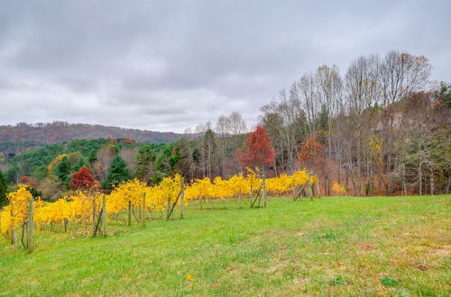 Photo 10 - Pet-friendly Pilot Studio w/ Vineyard Views