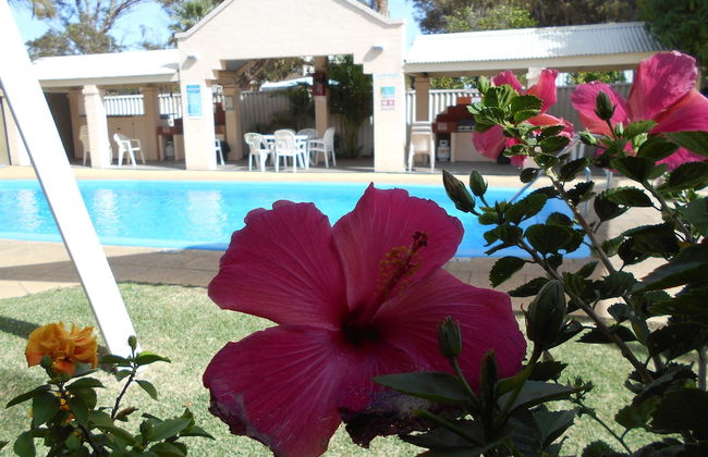Kalbarri Murchison View Apartments - Foto 67