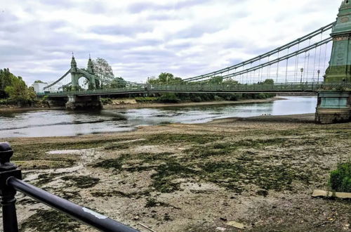 Photo 16 - Serene 3BD Flat, View of the Thames - Hammersmith