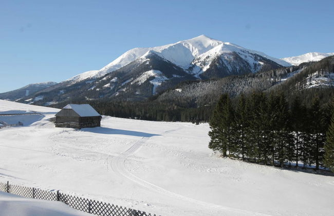 Chalet Hohentauern by Ski Lift - Foto 28