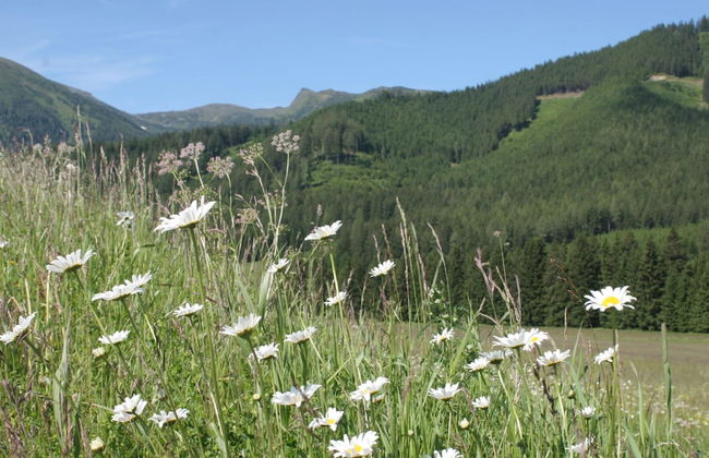 Chalet Hohentauern by Ski Lift - Foto 25