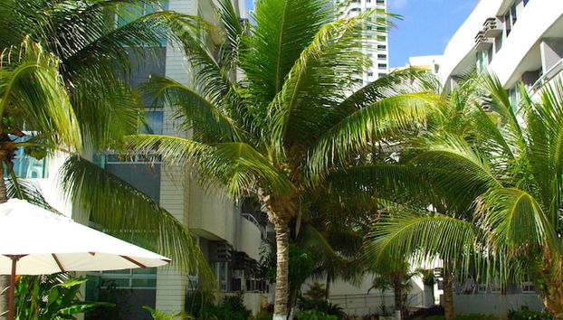 Terraço/pátio interior