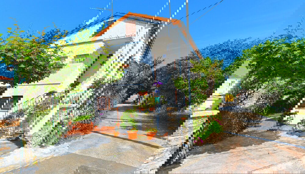 Imagem principal