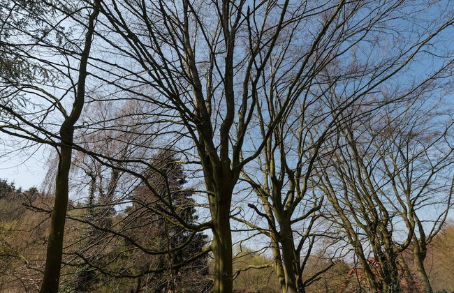 Eichenborn Gartenaufenthalt - Foto 40