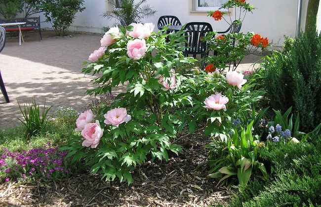 Schloss Triestewitz - Foto 35