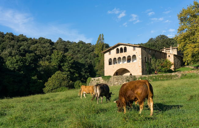 Casa Rural El Callís - Foto 16