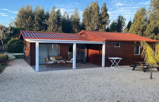 Herdade do Kuanza - Foto 57
