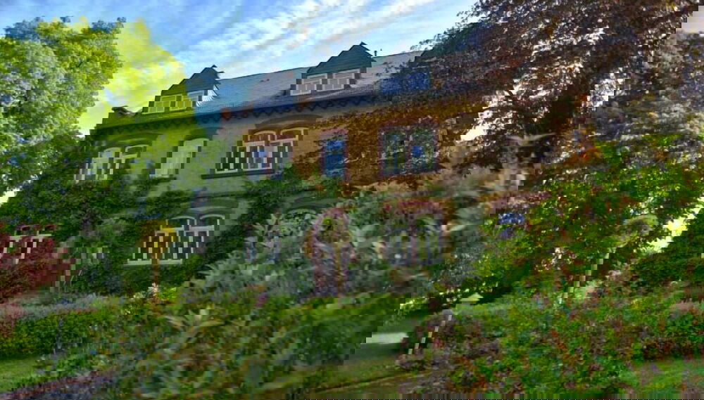 Imagem principal