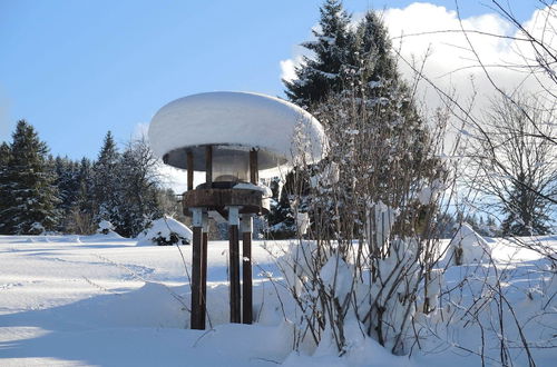 Photo 10 - Apartment in Bernau Black Forest With Valley View