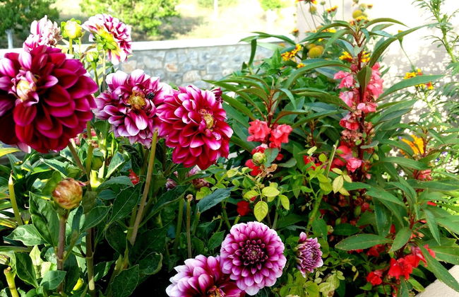 Sunrise Residence - Photo 33