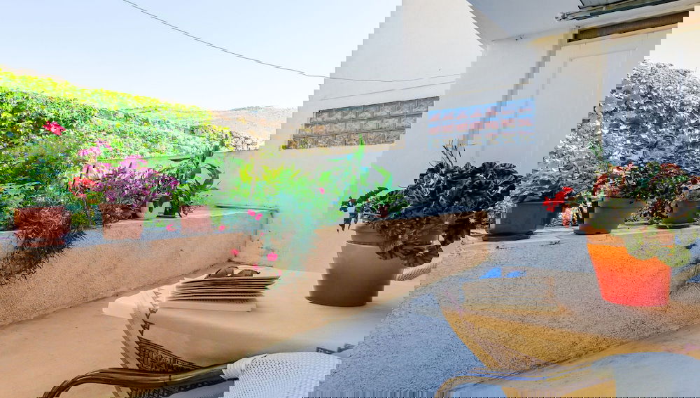 Image principale