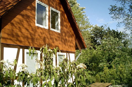 Photo 19 - Bungalow in Borgerende-rethwisch With Sauna