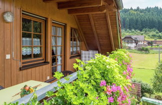 Photo 1 - Apartment in Schuttertal With Balcony