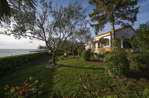 Photo 16 - Villa Petar 1 - 10m From sea - H