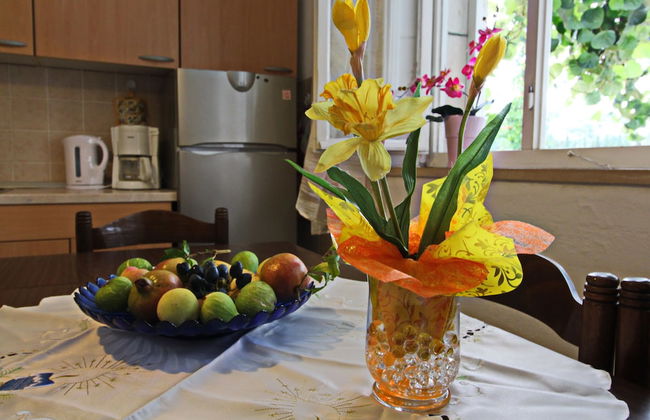 Green Garden House - Foto 22