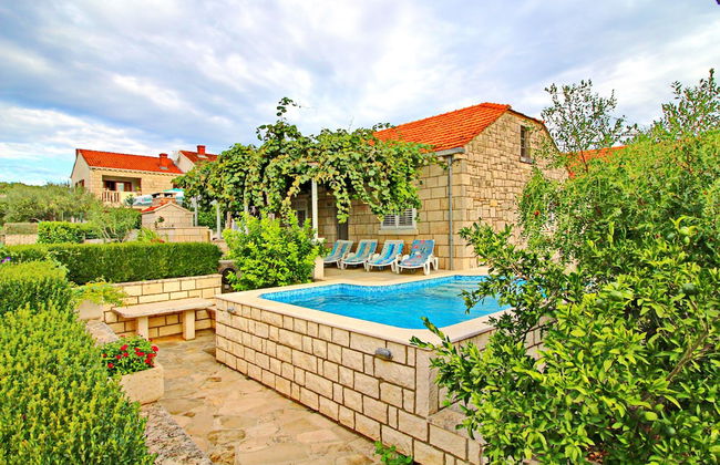Green Garden House - Foto 43