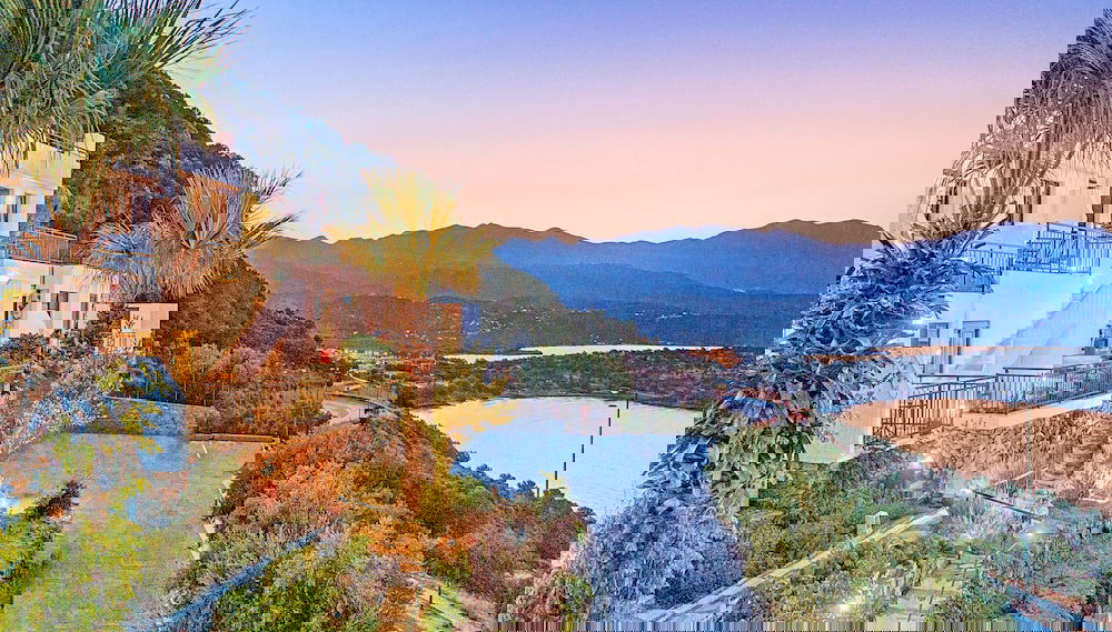 Image principale