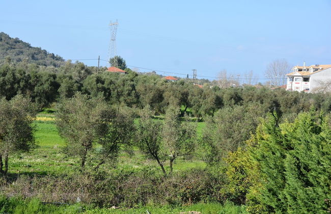 Village Villas - Photo 21