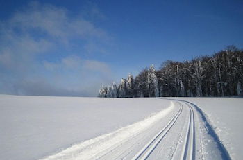 Photo 26 - Apartment in the Bavarian Forest