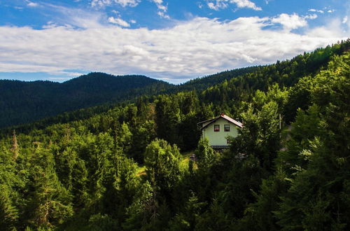 Photo 23 - Secluded Holiday Home with Hot Tub in Kozji Vrh