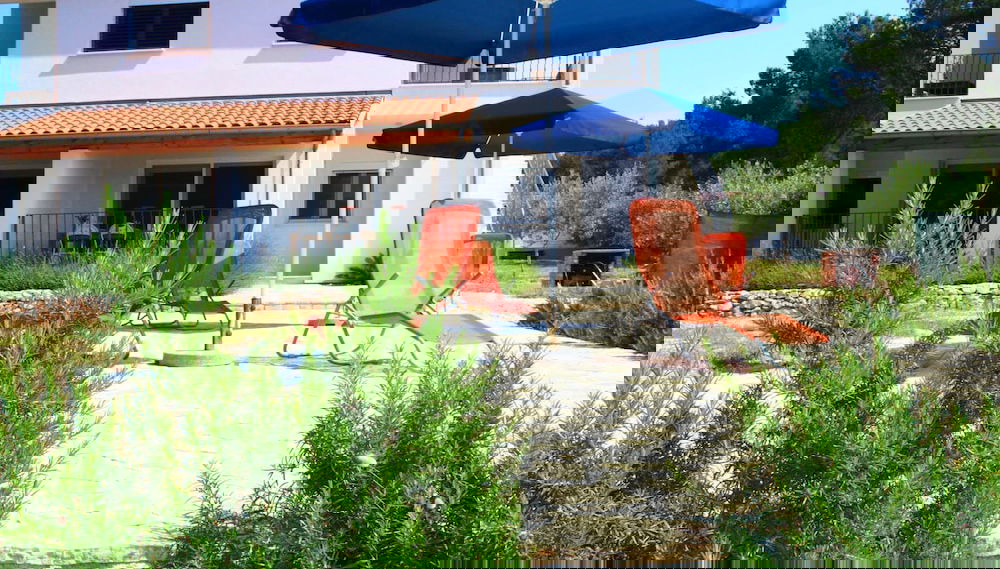 Imagem principal