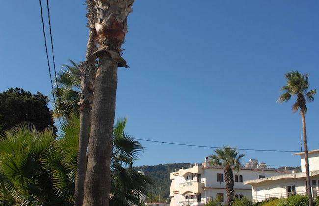 Takis Hotel - Photo 57