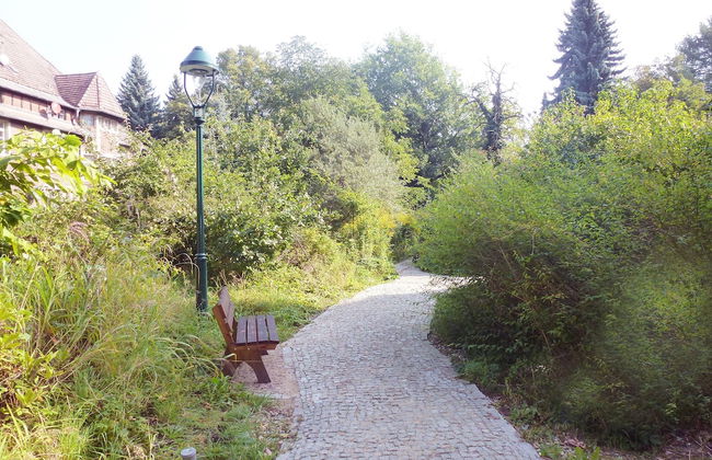Villa-Hufeland - Photo 56
