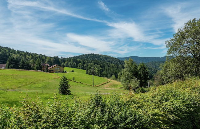 Spacious Apartment in Wehrhalden near Cross Country Skiing - Foto 39