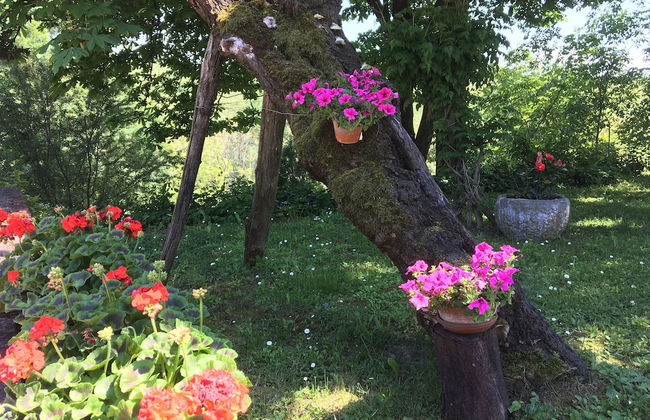 Cascina Il Bricco - Foto 43