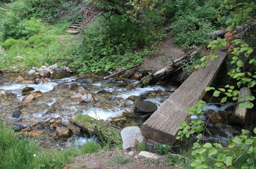 Photo 19 - Cottage on the Stream