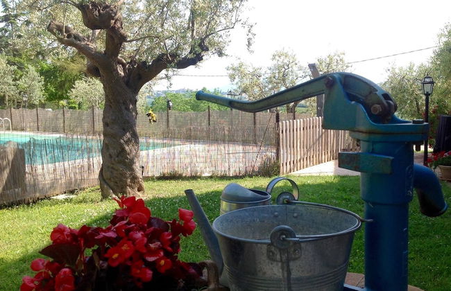 Agriturismo Terre Vineate - Foto 36