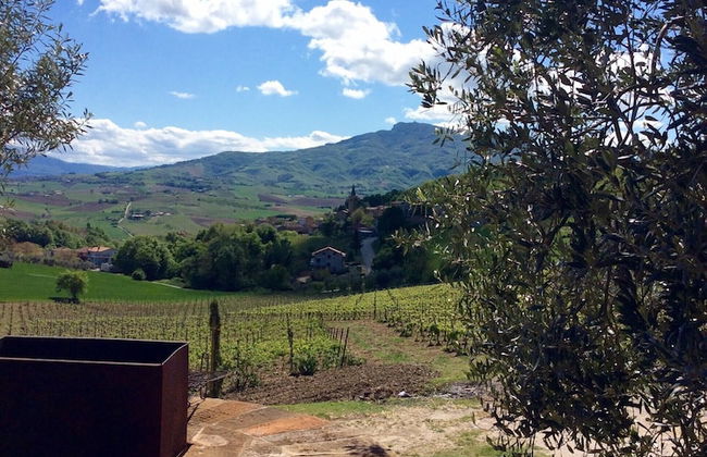 Agriturismo Terre Vineate - Foto 38