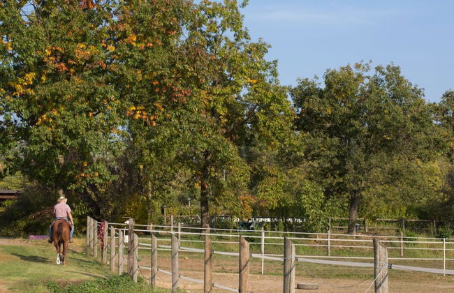 Agriturismo & Scuderia Fano's Farm - Foto 63