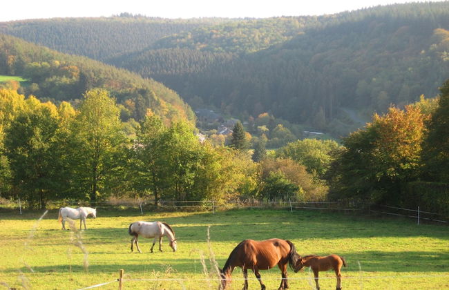 Scenic Stay in Vencimont - Foto 66