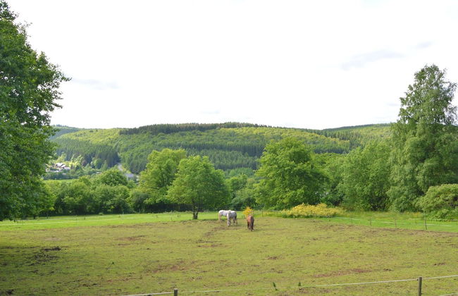 Pretty Cottage Ardennes near Valley of Lesse & Semois - Foto 33