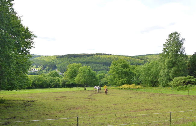 Scenic Stay in Vencimont - Foto 32