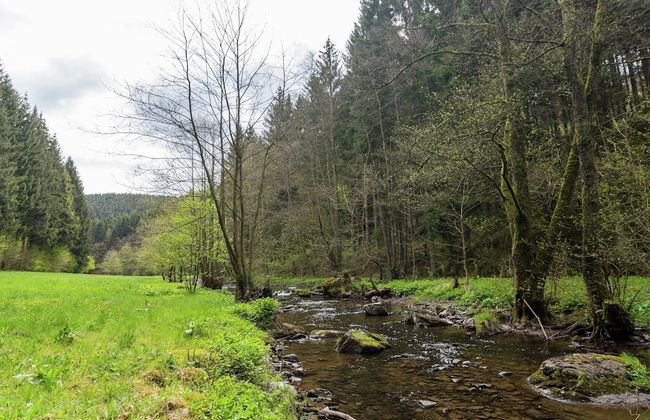 Scenic Stay in Vencimont - Foto 57