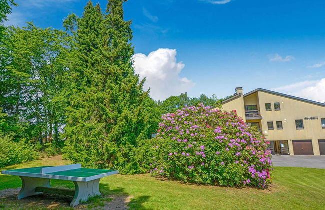 Holiday Home in Gros Fays With Garden - Foto 31