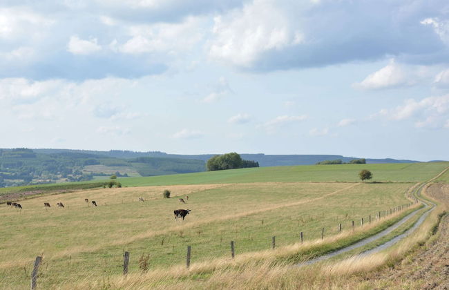 Beautiful Ardennes House in Quiet Area - Foto 29