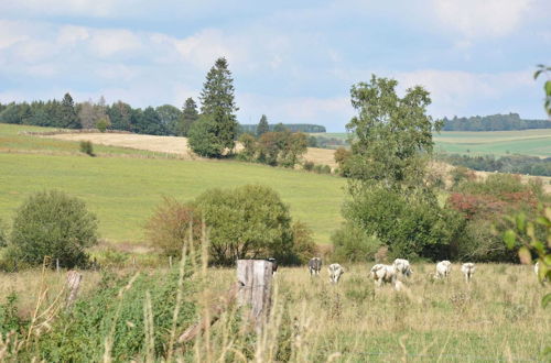 Photo 31 - Beautiful Ardennes House in Quiet Area