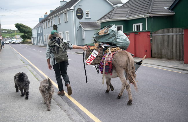 Dingle Harbour Cottages - Photo 45