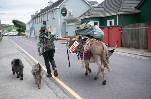 Photo 23 - Dingle Harbour Cottages