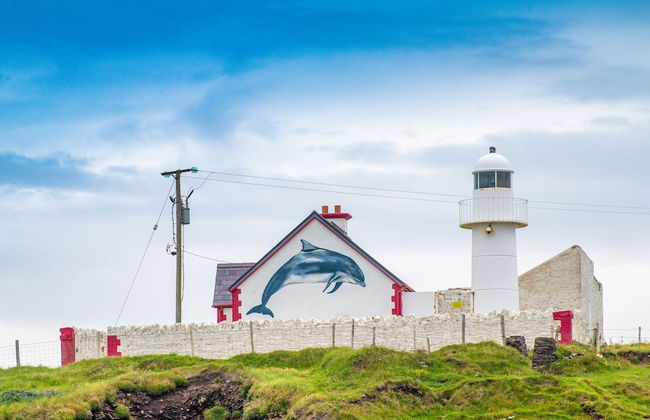 Dingle Harbour Cottages - Photo 43