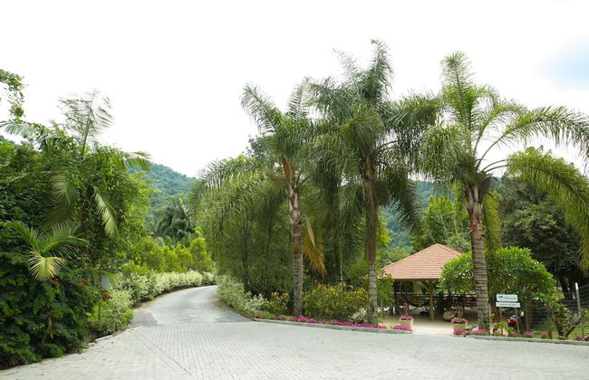 Hotel Fazenda Pommernland - Foto 47