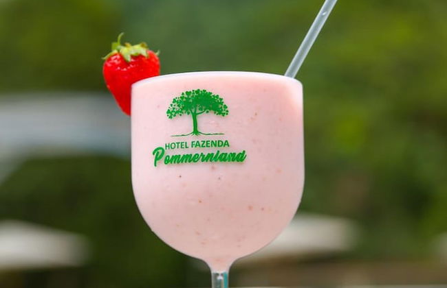 Hotel Fazenda Pommernland - Foto 42