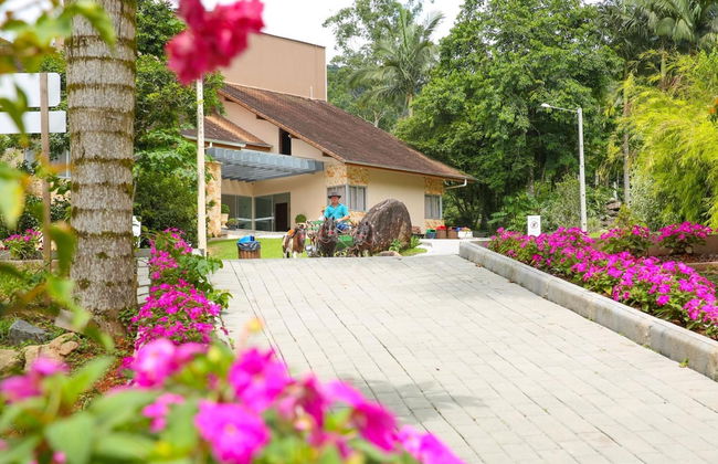 Hotel Fazenda Pommernland - Foto 48