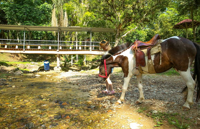 Hotel Fazenda Pommernland - Foto 15