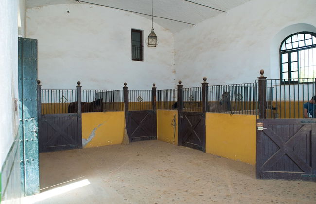 Hacienda La Indiana - Foto 19