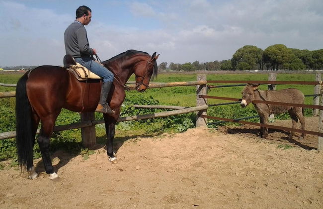 Hacienda La Indiana - Foto 18