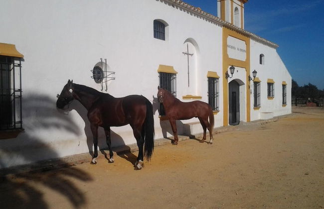 Hacienda La Indiana - Foto 42